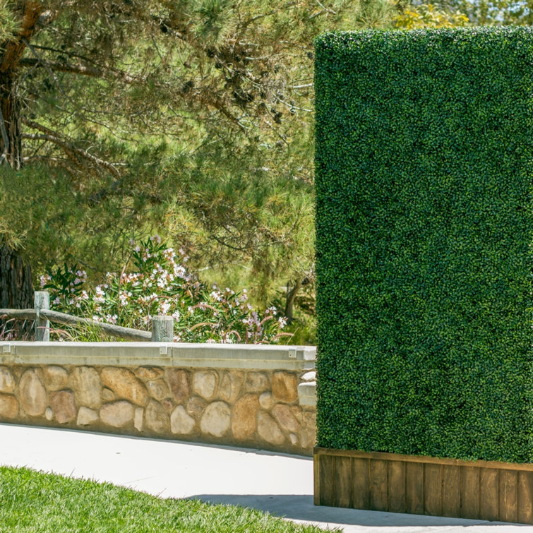 eJoy 1.5 ft. H x 1.5 ft. W Artificial Planes Milan Hedge Polyethylene